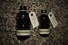 Image of Eucalyptus Essential Oil