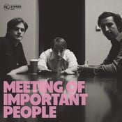 Image of VINYL Meeting of Important People self-titled full-length LP