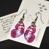 Image of Fushia Wings