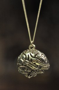 Image of The Brain