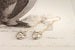 Image of fox earrings