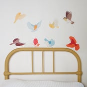 Image of Flying Twitters (earthy) / Cui Cui il s'envole (garçon)