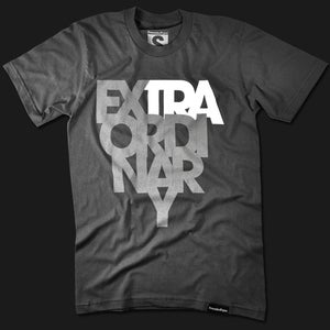 Image of Extra Ordinary