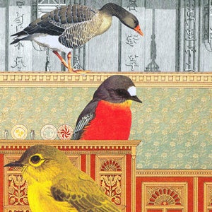 Image of Collaged greeting cards - Five of the one kind