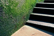 Image of Steps