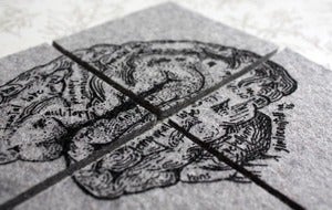 Image of ever so clever - anatomical brain diagram felt coasters