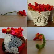 Image of Roses grans (Llana) / Wool Flowers
