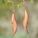 Image of New Zealand Native Kamahi Sensual Earrings