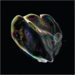 Image of Tom Trago / Iris