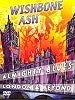 Image of Almighty Blues Live In London & Beyond - DVD