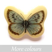 Image of Species brooch
