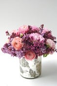 Image of Lovely Lilac