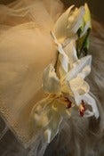Image of Honolulu Honey Bridal Fascinator