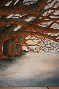 Image of Not All Who Wander Are Lost