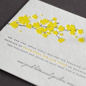 Image of BLOSSOMS