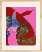 Image of Curiosities No. 15