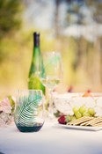 Image of Fern Stemless Wine Glasses-Set of 2