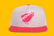 Image of Orchard Snapback Hat - Khaki/Red Bird Logo