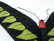 Image of Fabric Butterfly Ornament black and Green Ornithoptera Brookiana