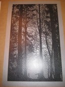 Image of The Forest Made Us Talk - Galvanized Variant