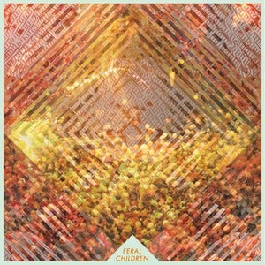 Image of Feral Children - Reverb 7"