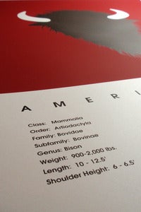 Image of American Bison