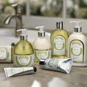Image of Mistral Verbena Collection