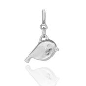 Image of Robin Clip-on-Charm
