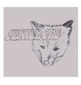 Image of Sunshower Fox Tshirt