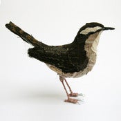 Image of WREN