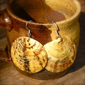 Image of Lagoon Shell Earrings
