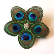 Image of "Jolene" Peacock Feather Hair Clip