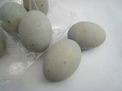 Image of Preserved Duck Eggs x 6/ Century Egg, 100-year egg, 1000 year egg