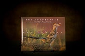 Image of The Roadrunner