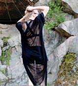 Image of RAVEN