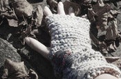 Image of Grey Rabbit