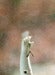 Image of Sterling Silver Tongue Tied Cherry Stem