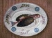 Image of Flying Fish
