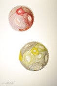 Image of spiro-dome brooch