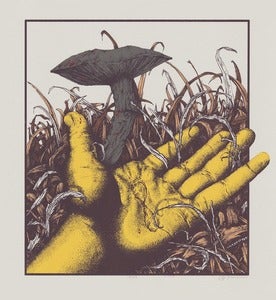 Image of FINITE