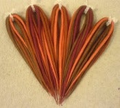 Image of Custom Roving Dread kits