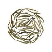 Image of Yunnan White Buds