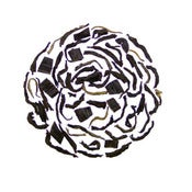 Image of Vanilla Black, Organic and Fair-Trade