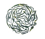 Image of Hubei Cloud