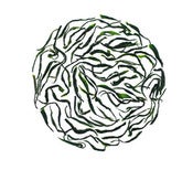 Image of Green Needles