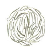 Image of Silver Needle