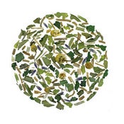 Image of Soothing Valerian, Organic