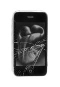 Image of Ryan McIntosh "After Edward Weston, 2011" - 13x19 - Silver Gelatin Photograph - Edition of 10