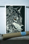 Image of Wolf
