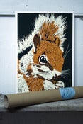 Image of Squirrel
